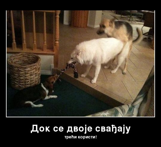 [Slika: dok-se-dvoje-svadjaju.jpg]