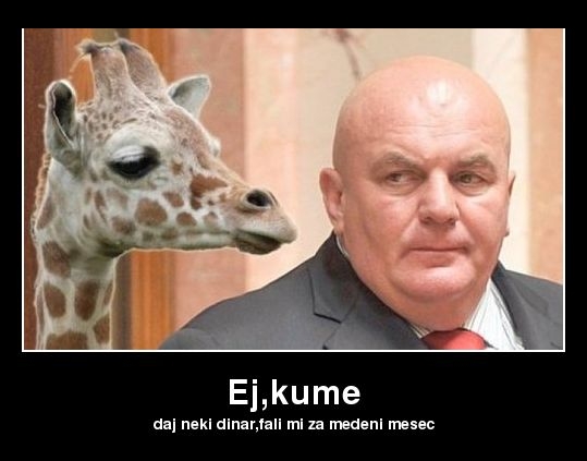 [Slika: ej-kume.jpg]